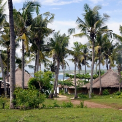 Bali