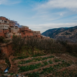Maroka