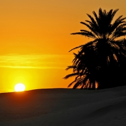 Tunisija